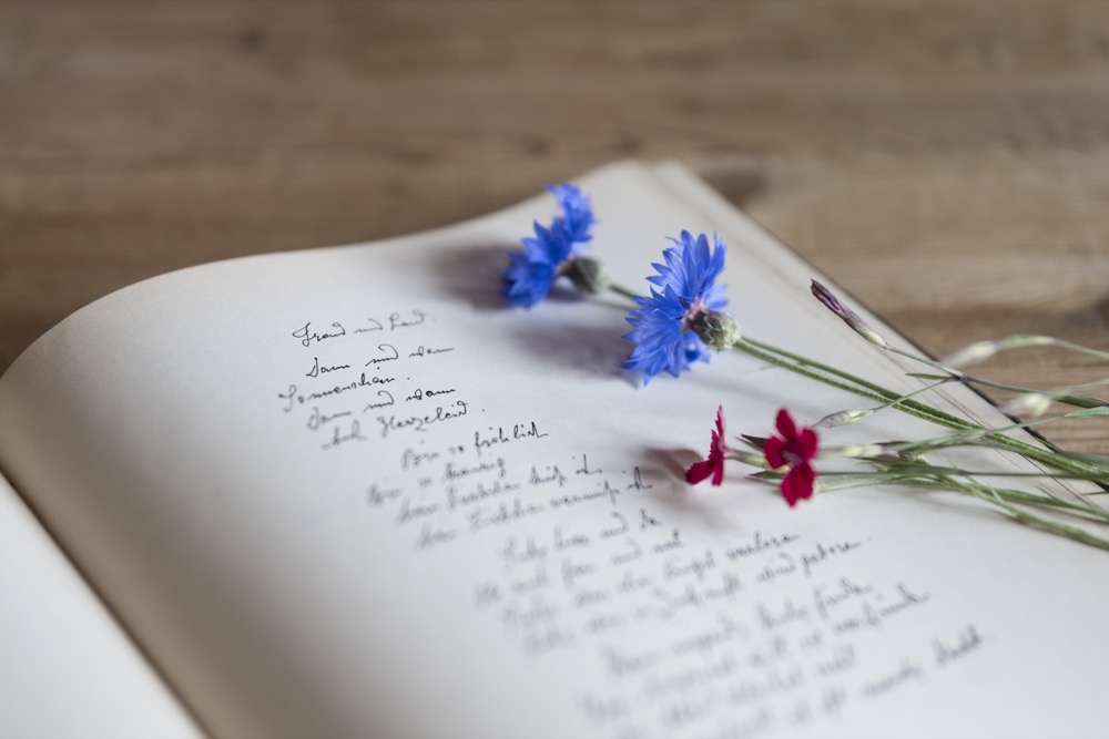 gedicht, blumen, stillleben