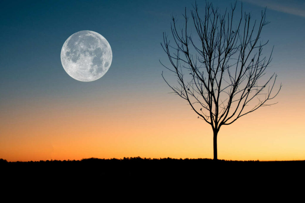 6 Beautiful Moon and Star Poems to Reflect on Nature’s Night Sky